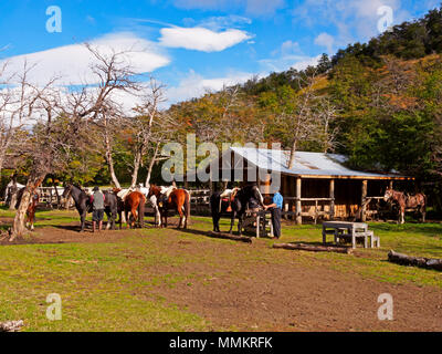 Horses wait for tourists at Explora Quincho in Patagonia Stock Photo