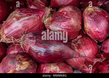 Bordea bulb onion in the shell texture, large fresh onions, food background of onions. Stock Photo