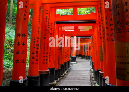 Red torii corridor in Fushimi Inari taisha, Kyoto Stock Photo