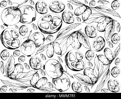 Jujube Ziziphus Stock Illustrations – 137 Jujube Ziziphus Stock  Illustrations, Vectors & Clipart - Dreamstime