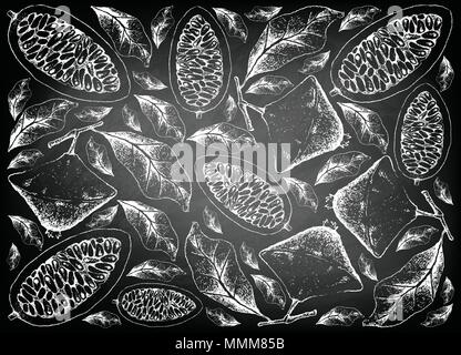 Tropical Fruits, Illustration Wallpaper Background of Hand Drawn Sketch Cambuci or Campomanesia Phaea Fruit on Black Chalkboard. Stock Vector