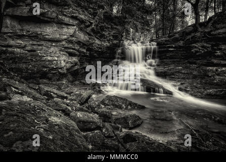 Honey Run falls in central Ohio in black and white. Pretty little secluded waterfall in a hidden gorge. Stock Photo