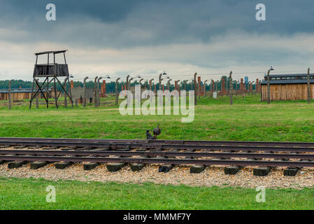 Auschwitz, Poland - August 12, 2017: Auschwitz Birkenau concentration camp Stock Photo