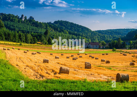 stacks of hay on a yellow field after harvest, beautiful landscape Stock Photo