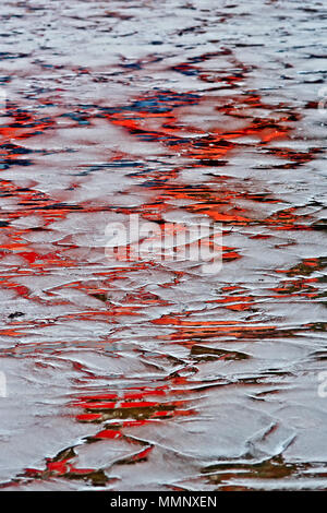 Abstract reflections in brilliant red on the wet beach of Scarborough’s South Bay. Stock Photo
