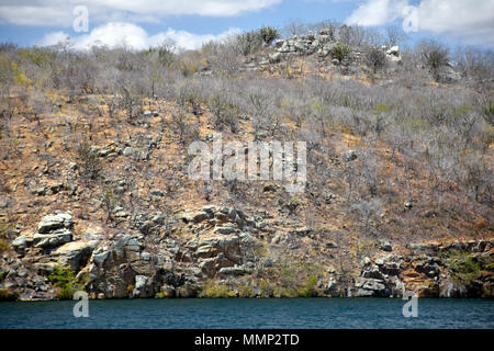 Dry trees, typical vegetation of the caatinga, "sertao" or "agreste" in a hill by the Xingo Canyon in the northeast state of Sergipe, Brazil Stock Photo
