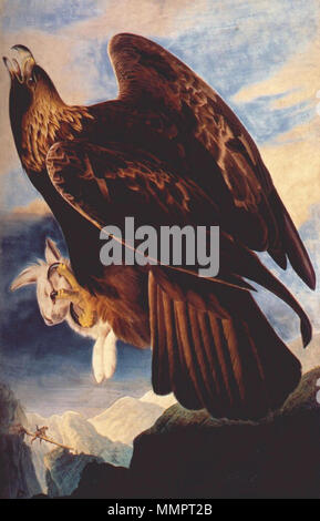 . English: Painting of a golden eagle (Aquila chrysaetos) . Note: Audubon depicts himself at lower left! . between 1833 and 1834.   John James Audubon  (1785–1851)       Alternative names Birth name: Jean-Jacques-Fougère Audubon  Description American ornithologist, naturalist, hunter and painter  Date of birth/death 26 April 1785 27 January 1851  Location of birth/death Les Cayes (Haiti) New York City  Work location Louisville, New Orleans, New York City, Florida  Authority control  : Q182882 VIAF:?14765625 ISNI:?0000 0001 1040 5229 ULAN:?500016578 LCCN:?n79018677 NLA:?35010139 WorldCat Audubo Stock Photo