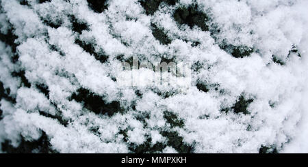 Tree trunk covered with snow. Fluffy snowflakes on the roof. Natural background. Cold winter day. Close up. Winter in Russia. Wide photo.