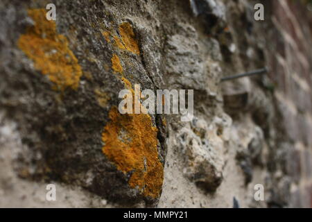 The incredible texture of an ancient wall in the heart of Hampshire serves as a reminder of the history of the area. Stock Photo