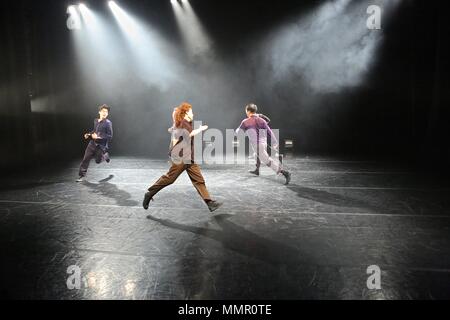 Swan Lake At The Place 17 Duke Road , London Stock Photo