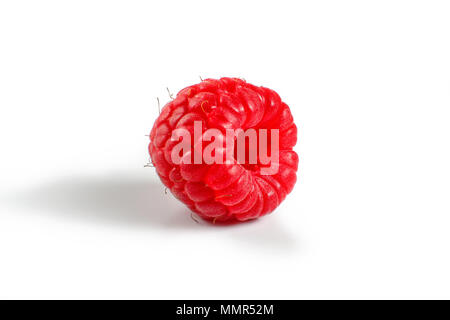 Single raspberry isolated on white background. Stock Photo