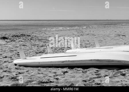 windsurf tables on the sand in a mediterranean beach Stock Photo