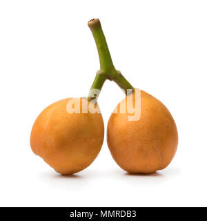 Pair of fresh picked ripe loquats isolated on white background Stock Photo