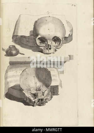 . Bidloo, Govard (1649-1713): Ontleding des menschelyken lichaams Amsterdam, 1690. (= dutch language edition of Anatomia humani corporis, 1685)  . Gerard de Lairesse (drawings), Abraham Blooteling, Pieter Stevens van Gunst (engravers) / scans by NLM Bidloo Ontleding 1690 89 Stock Photo