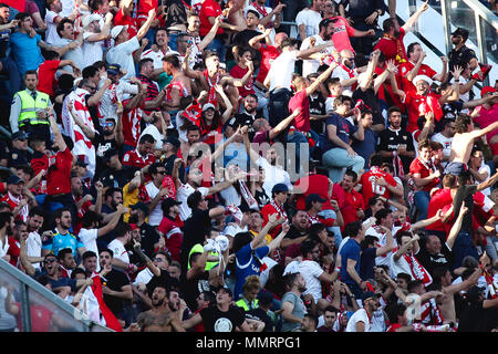 Estadio Benito Villamarin, Seville, Spain. 12th May, 2018. La Liga football, Real Betis versus Sevilla; Sevilla FC fans celebrate Ben Yedders goal for 1-1 in the 57th minute Credit: Action Plus Sports/Alamy Live News Stock Photo