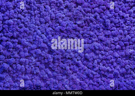blue background of artificial cloth. Stock Photo