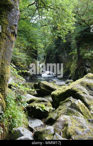 Fairy Glen in Betws-y-Coed, Wales Stock Photo