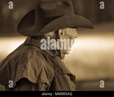 OCT 4, 2017, RIDGWAY COLORADO - Cowboy, Howard Linscott looks out over historic Last Dollar Ranch on Hastings Mesa, SW Colorado, San Juan Mountains Stock Photo