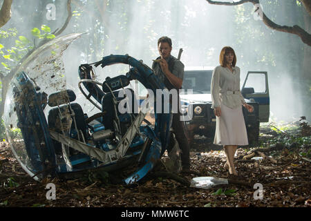 RELEASE DATE: June 12, 2015 TITLE: Jurassic World STUDIO: Universal Pictures DIRECTOR: Colin Trevorrow PLOT: A new theme park, built on the original site of Jurassic Park, creates a genetically modified hybrid dinosaur, which escapes containment and goes on a killing spree. STARRING: CHRIS PRATT, BRYCE DALLAS HOWARD. (Credit Image: © Universal Pictures/Entertainment Pictures) Stock Photo