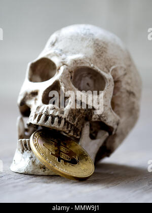 Close up of Skull biting Golden bitcoin on wooden table. The concept of investment and Fluctuation of bitcoin and cryptocurrency. The feeling of disap Stock Photo