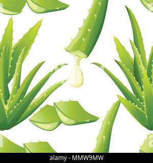 Seamless pattern. Green aloe vera plant. Cut pieces of aloe vera. Serum and collagen natural extracts vitamin for skin care cosmetic. Vector illustrat Stock Vector