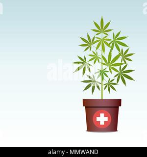 Medical marijuana or cannabis in pot. Green Herbs in a pot. Growing cannabis. Drug consumption, marijuana use. Useful properties of marijuana. Isolate Stock Vector