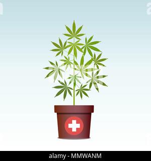 Medical marijuana or cannabis in pot. Green Herbs in a pot. Growing cannabis. Drug consumption, marijuana use. Isolated vector illustration. Stock Vector