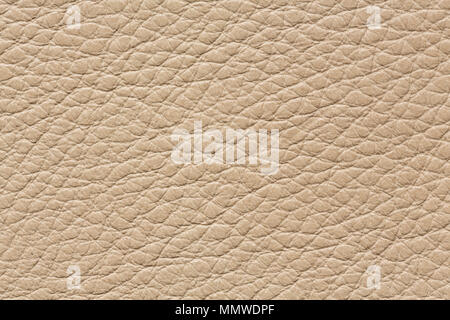 Clean leather texture in classic light colour. Stock Photo
