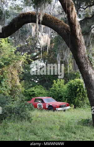 An abandoned old stock car in Florida Stock Photo