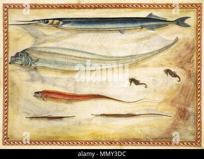 English: Sea animals . 1558. Giorgio Liberale - Sea animals - WGA12970 Stock Photo
