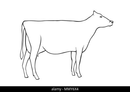 A Minimalist One-line Drawing Of A Realistic Cow, Featuring A Clean Black  Line On A White Background. This Simple And Minimalistic Artwork Showcases  The Figure Outline Of The Cow Using A Single