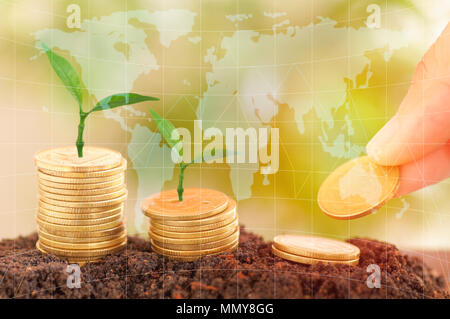 hand put money tree growth up and stacked on coins with soil, concept in save money of business, finance, economy and account bank Stock Photo