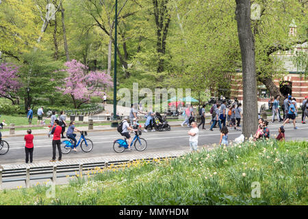 New Yorkers and tourists enjoy Central Park in the springtime ...