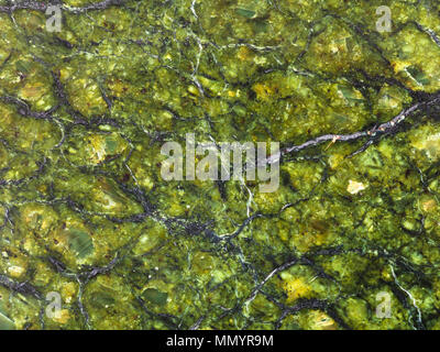Natural Surface texture of serpentinite. Background with green mineral ...