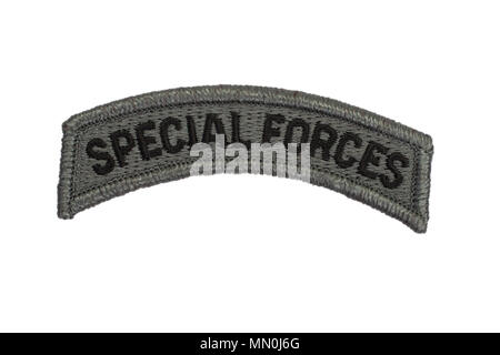 US ARMY special forces badge isolated Stock Photo