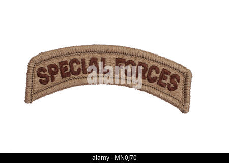 US ARMY special forces badge isolated Stock Photo