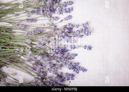 Fresh lavender flowers on gray fabric background. Top view of a fresh lavender flowers, copy space for your text. Stock Photo