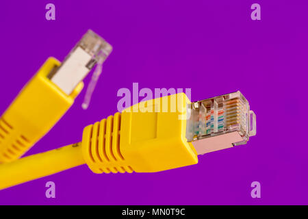 Two yellow ethernet connector on purple background Stock Photo