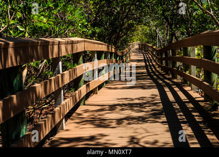 A peaceful tree-lined brown wooden boardwalk leading from foreground to a distant bend, punctuated by sunlight and shadow patterns, Bonita Springs, Fl Stock Photo