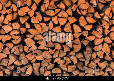 Abstract wooden background. Firewood backdrop. Cutting wood texture. Stock Photo
