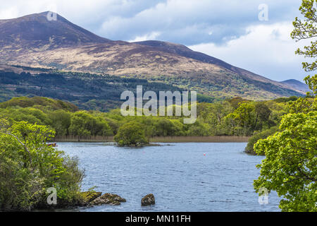 Ireland Killarney National Park Ross Castle Stock Photo