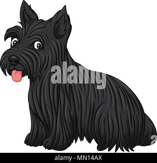 Scottish terrier dog breed Stock Vector