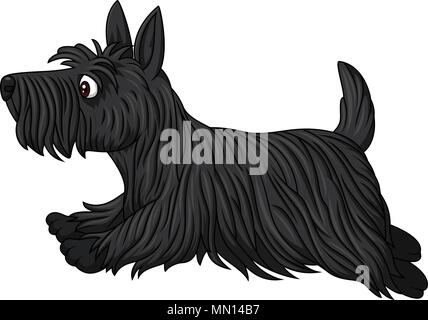 Scottish terrier dog breed running Stock Vector