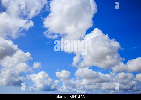 White clouds hanging from blue sky for backdrop. Scattered clouds on daylight, skyline from under view. Stock Photo