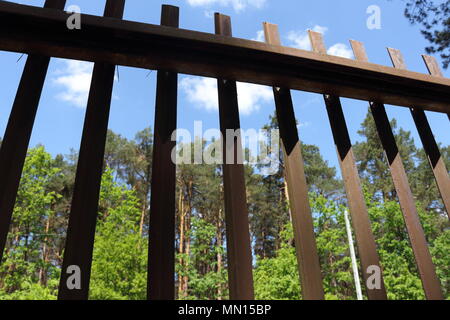 Metal gate with forest and blue sky in the background Stock Photo