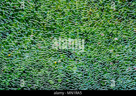 Broken windshield glass on a green background. Stock Photo