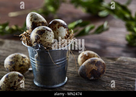 Spring composition of fresh quail eggs in decorative metal bucket with some hay and pyramid of eggs on a homespun napkin and boxwood branches on rusti Stock Photo