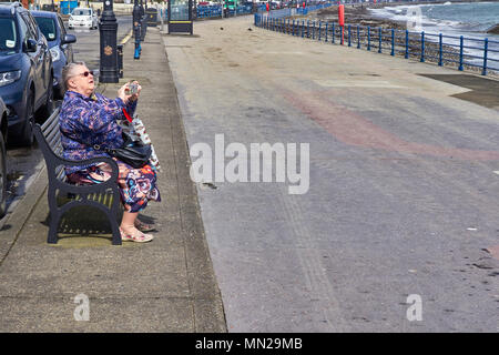 Older woman sitting on a seaside bench taking a photo with phone camera Stock Photo