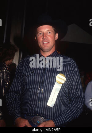 CENTURY CITY, CA  - JULY 28: Actor Bruce Boxleitner attends Golden Boot Awards on July 28, 1990 at the Century Plaza Hotel in Century City, California. Photo by Barry King/Alamy Stock Photo Stock Photo