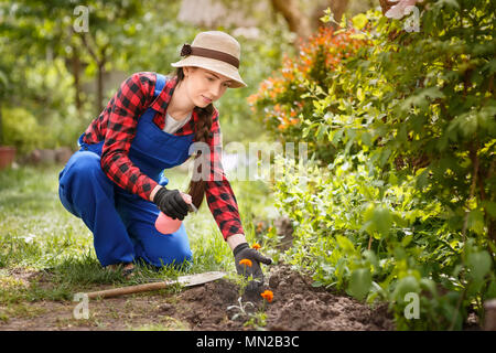 gardener spraying pesticide or water on flowers Stock Photo